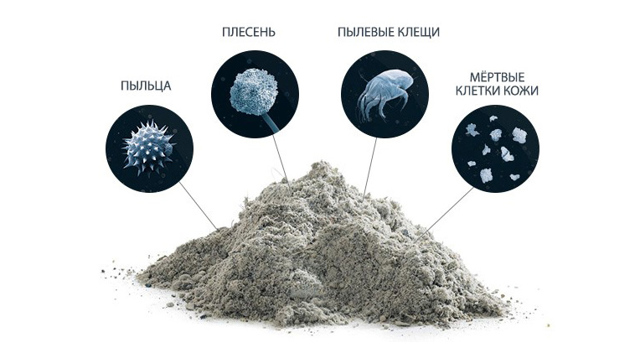 Как избавиться от домашней пыли