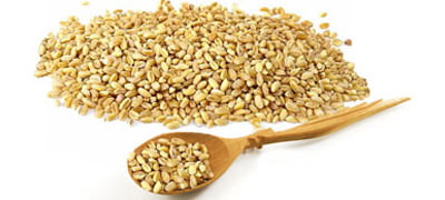 Ячневая каша польза и вред при диабете