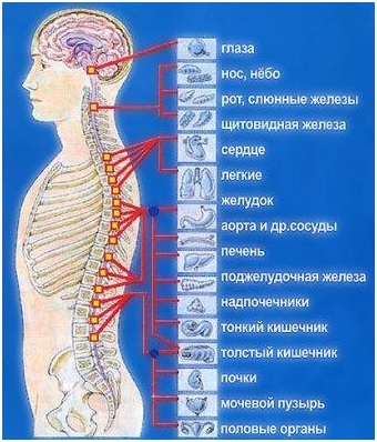 Как отличить сердечную боль от остеохондроза