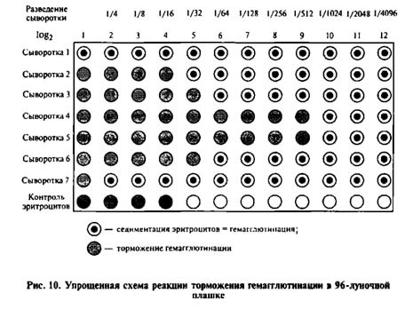 ИФА анализ крови – Цена и расшифровка иммуноферментного анализа на паразитов — Медицинский женский центр в Москве