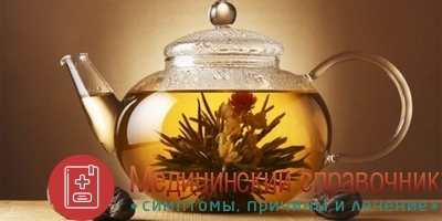 Ретикулоциты - норма у детей и взрослых, повышены и понижены в мазке крови