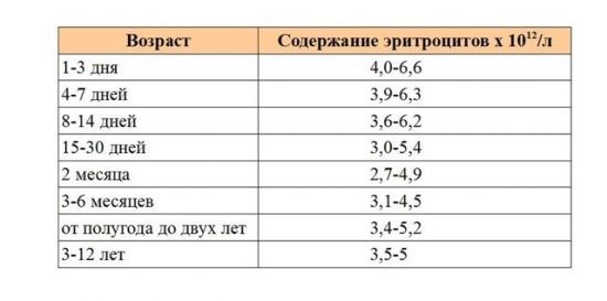 Анализ эритроцитов в крови человека. Норма и патологии