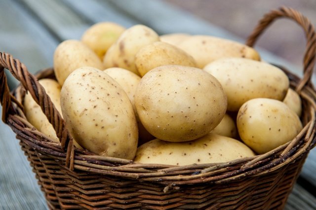 Как сделать свечи из картофеля от геморроя — Сайт о геморрое