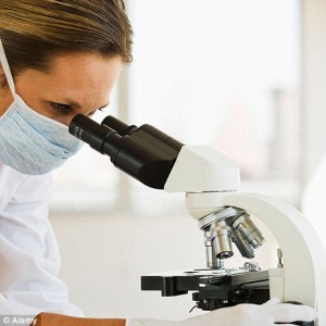 Посев крови - что это, что показывает бактериологический посев