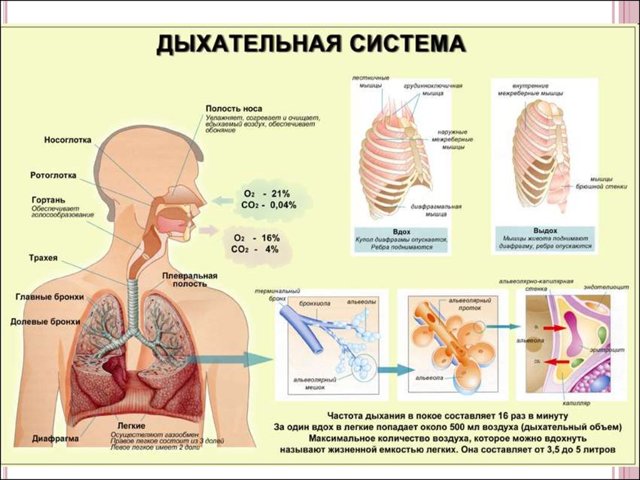Покалывание в верхней части грудной клетки