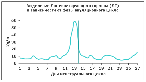 Виды анализов крови на гормоны: какой анализ сдать и когда?