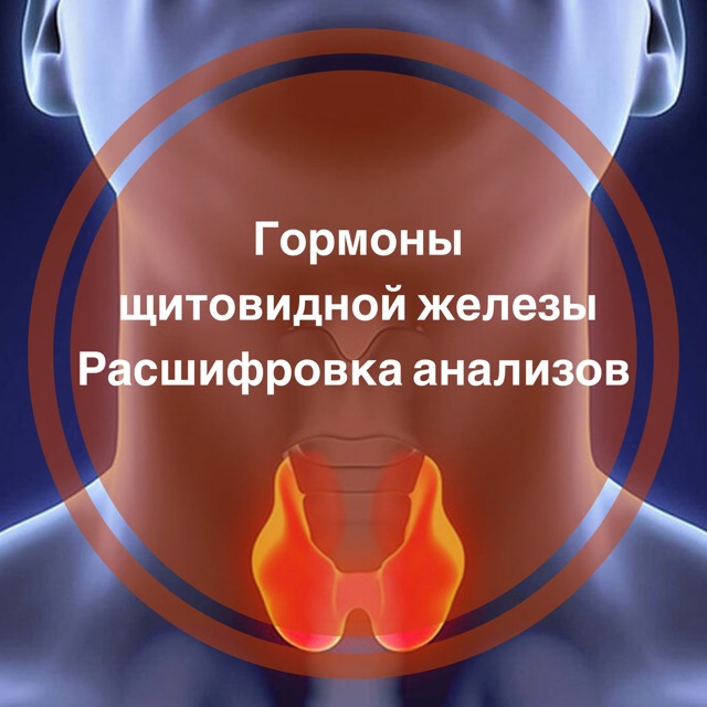 Расшифровка анализа на гормоны щитовидной железы