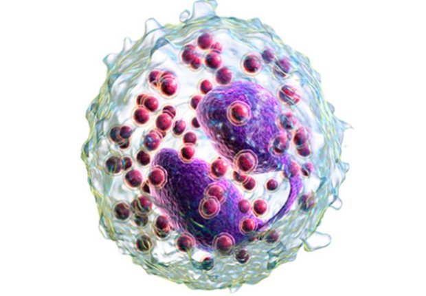 Что делать, если у ребенка повышенные эозинофилы