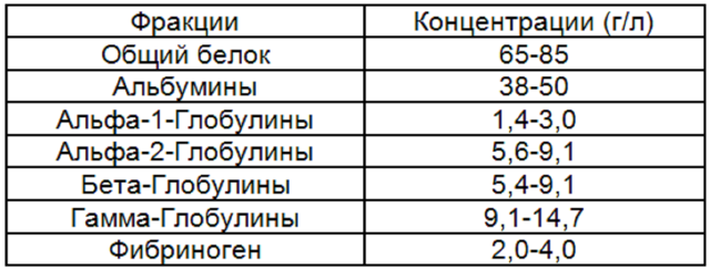 Белки плазмы крови – их функции в организме, фракции и их характеристика