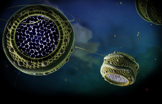 Липиды крови норма у женщин по возрасту таблица - Про холестерин