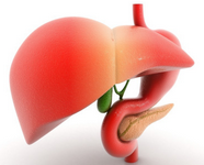 Холагол - инструкция по применению, цена и аналоги