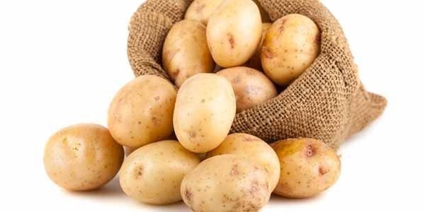 Лечение геморроя картофелем дома