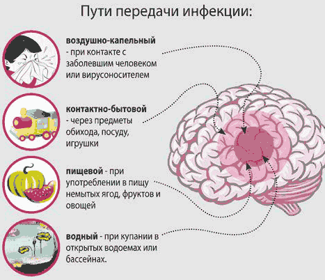 Менингит – симптомы и лечение у детей по видам заболевания