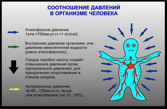 Что показывают цифры артериального давления