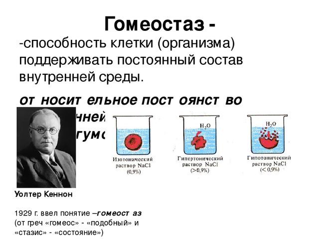 Иммунитет - материалы для подготовки к ЕГЭ по Биологии