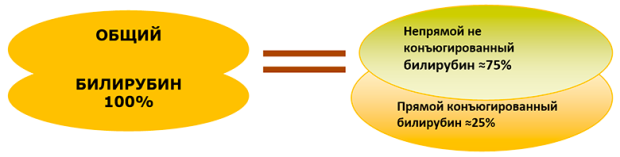 Какова норма билирубина в крови у взрослого человека? Основные показатели.
