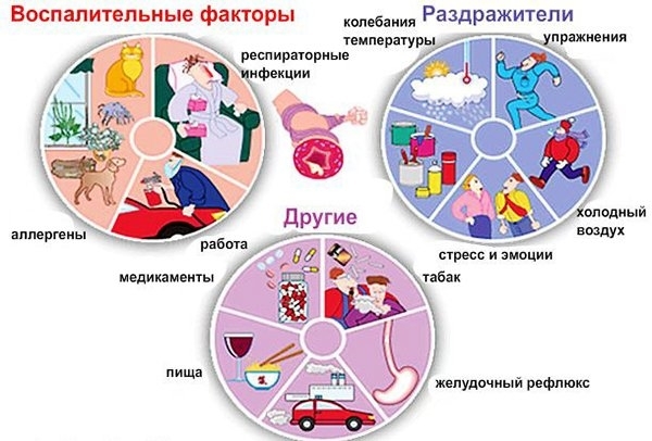 Сдать кровь на аллергены