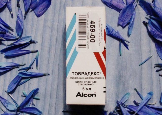 Глазные капли Тобрадекс – инструкция, отзывы, аналоги