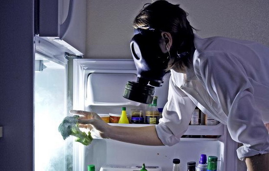 Как убрать запах из холодильника в домашних условиях легко и просто? Поверенные способы избавления от запаха из холодильника - Автор Екатерина Данилова