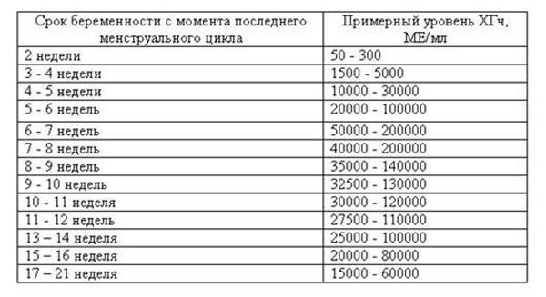 Анализ ХГЧ при беременности: зачем сдавать, уровни ХГЧ по неделям и их расшифровка