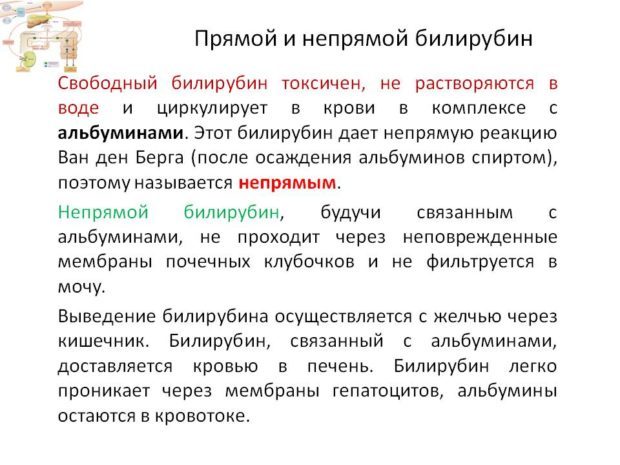 Непрямой билирубин в крови: норма и причины отклонений