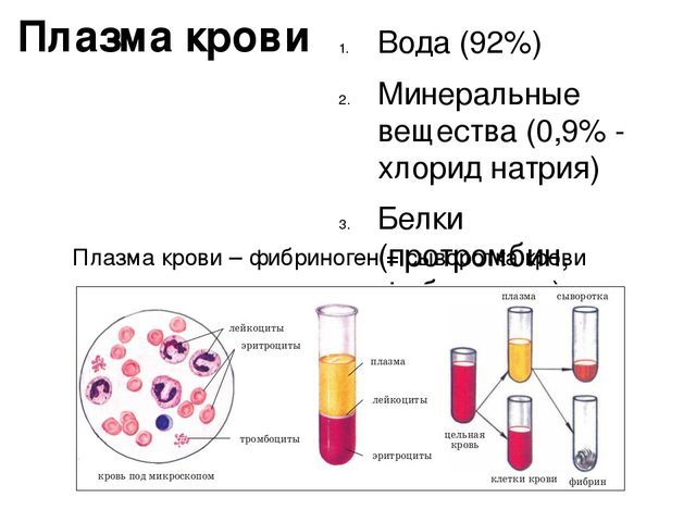 Иммунитет - материалы для подготовки к ЕГЭ по Биологии