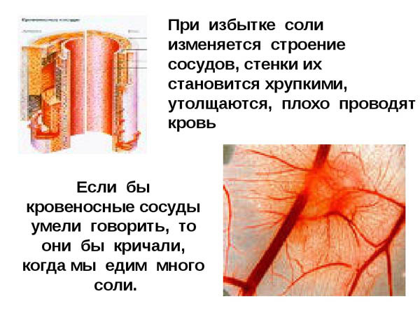Как улучшить кровоснабжение глаза. Глаз, кровообращение в сосудах
