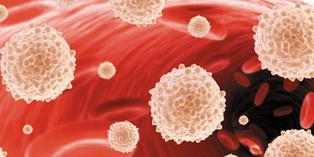 Повышены лейкоциты в крови: что это значит, причины