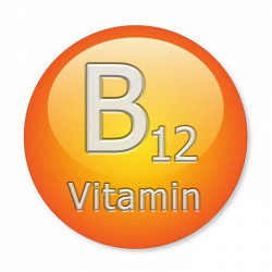 Анализ крови на витамин B12: норма у женщин и мужчин, причины повышения и снижения уровня