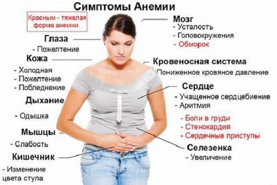 Что значат понижены эритроциты в крови взрослого (причины у женщин). Эритроциты понижены, что это значит