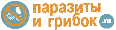 Вши у ребенка - чем лечить педикулез у детей: препараты, откуда берутся гниды и чем их выводить