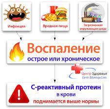 Биохимический анализ крови – расшифровка
