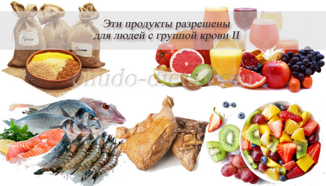 Группа крови 2-ая положительная: совместимость, питание