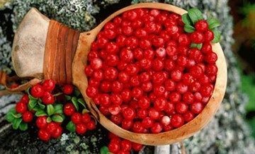 Клюква от гипертонии рецепты - Гипертонии нет