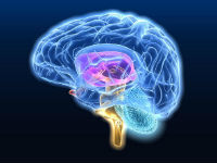 Сосудистые препараты при шейном остеохондрозе и спазме сосудов