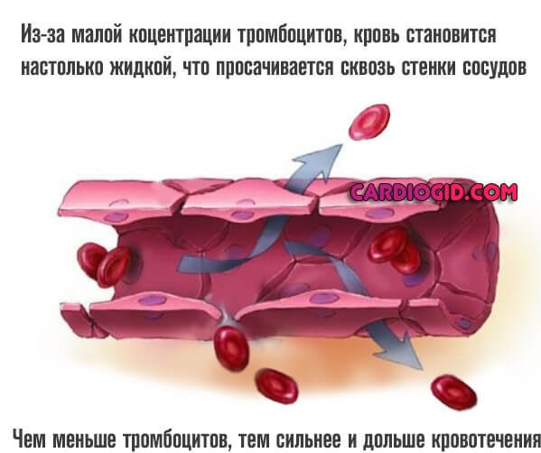 Антикоагулянты – механизм действия, список препаратов