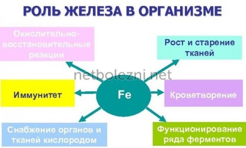Обзор железосодержащих препаратов
