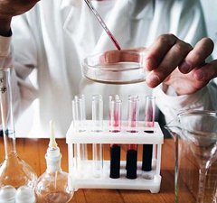 Общий (развернутый) анализ крови: что показывает, как сдавать