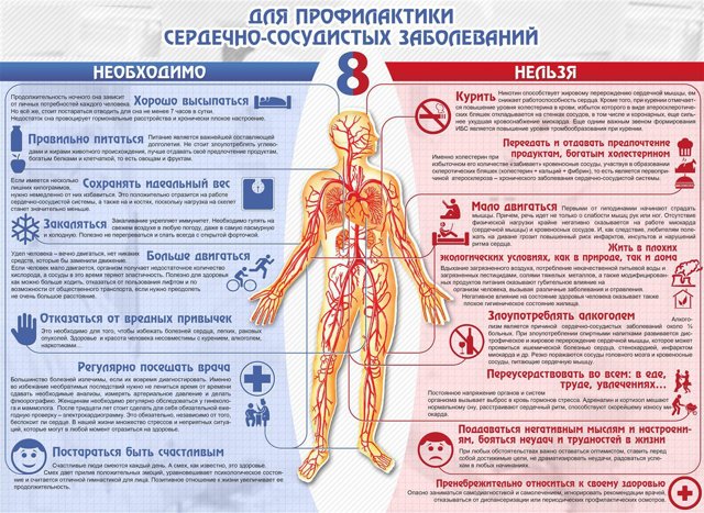 Профилактика сердечно- сосудистых заболеваний и борьба с ними - Сердечно-сосудистые заболевания - Картинки по медицине - 184985