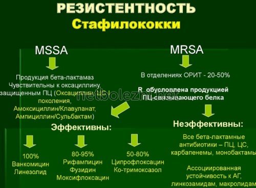 Золотистый стафилококк у детей и взрослых, симптомы и лечение