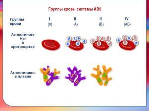 Заболевания по группе крови (болезни, влияющие на здоровье)