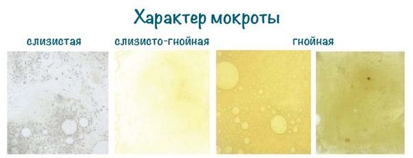 Зеленая мокрота при кашле