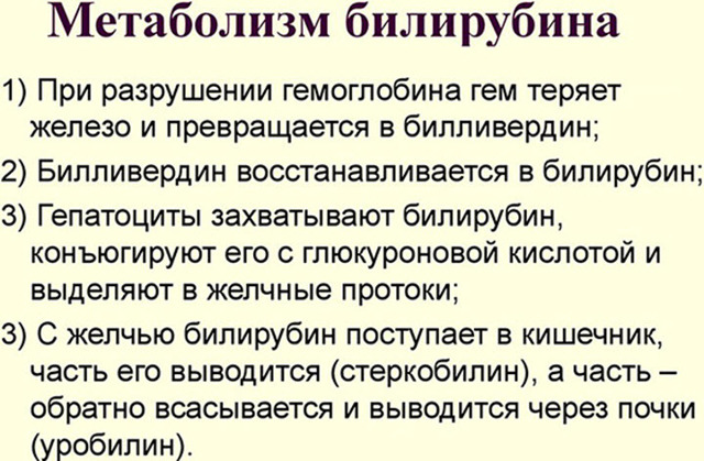 Повышенный билирубин и холестерин причины