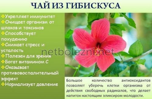 Какие продукты разжижают кровь и нормализуют кровообращение