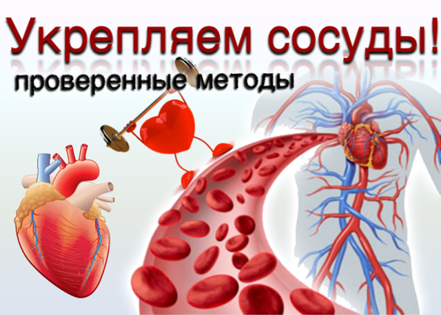 Гипотония - виды, признаки, лечение