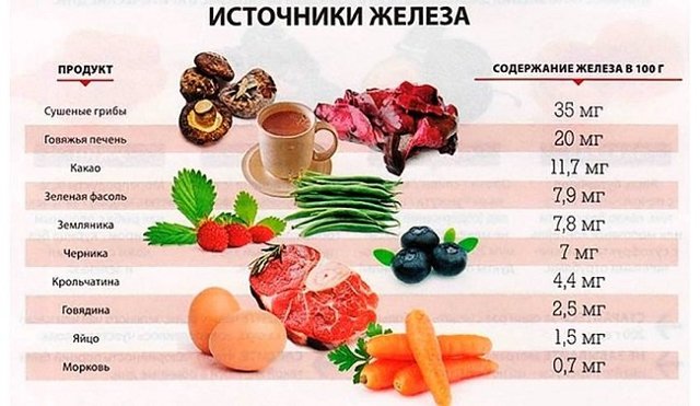 Анемия при беременности — Беременность. Беременность по неделям.