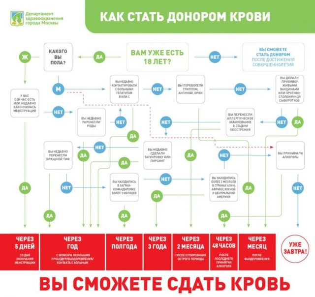 Сколько платят за сдачу крови и как часто можно сдавать