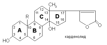 СЕРДЕЧНЫЕ ГЛИКОЗИДЫ — Большая Медицинская Энциклопедия