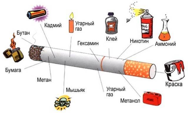 Какие продукты снижают холестерин в крови быстро и эффективно