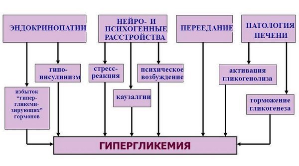 Консультации онлайн. Из какого пальца брать кровь на сахар для глюкометра